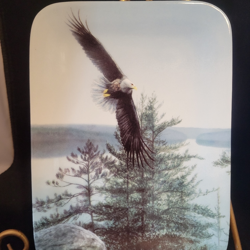 VTG Bradford Exchange 1996 "High Above The Crystal Lake" l. ed. Collection plate